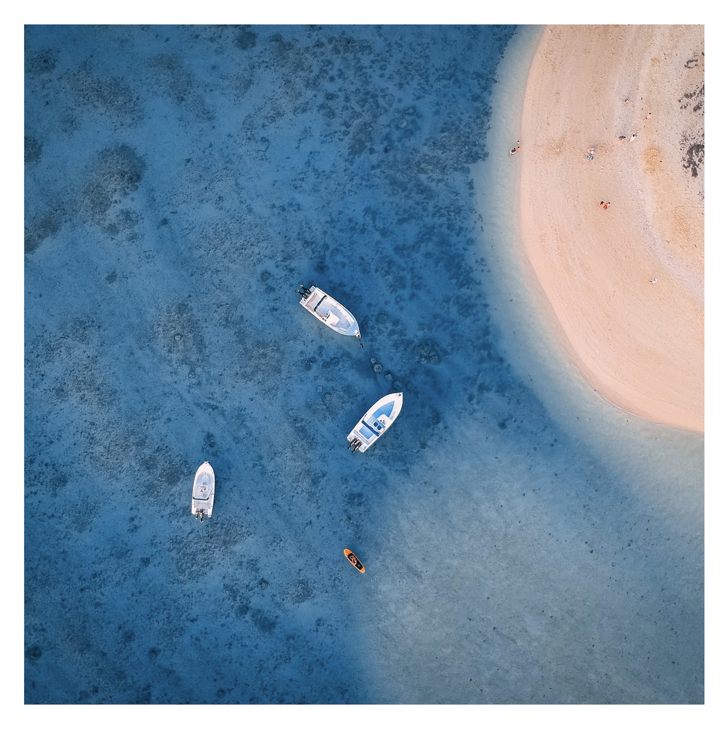 Maurice - Original peint à la main sur céramique