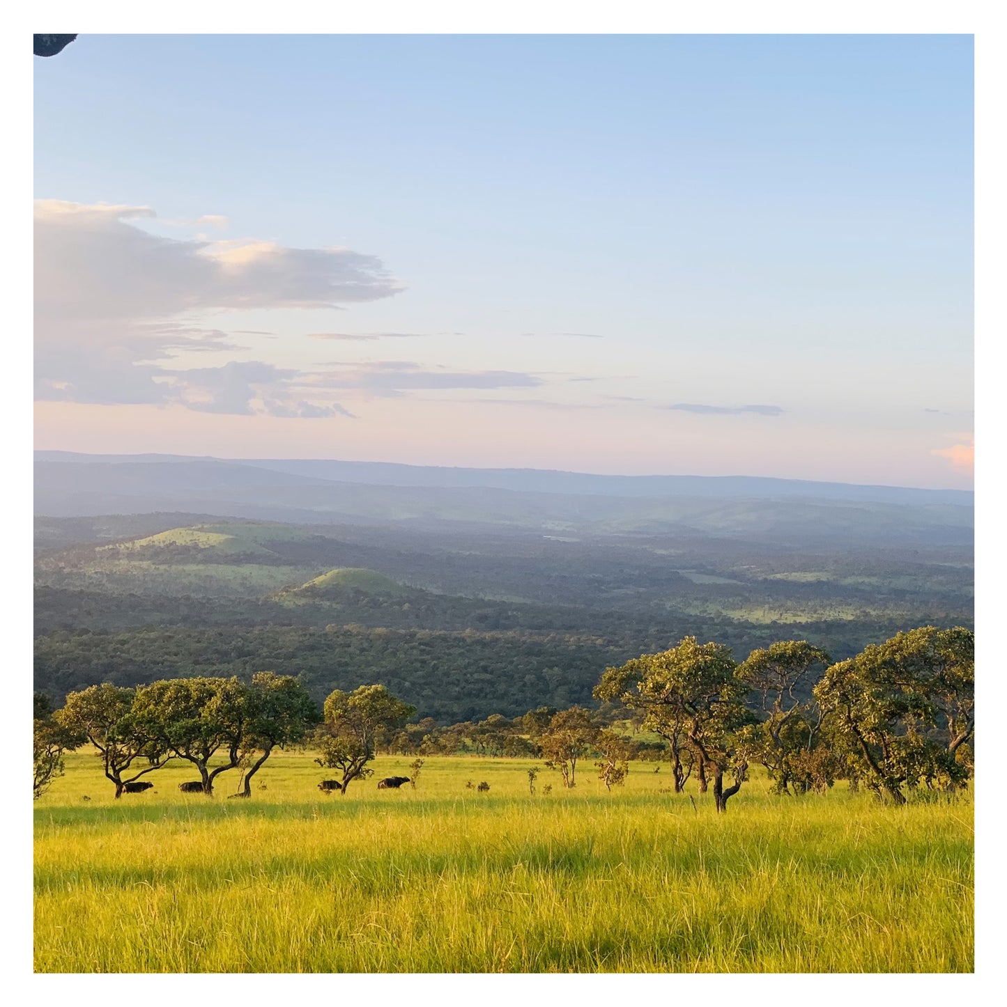 Burundi - Original peint à la main sur céramique