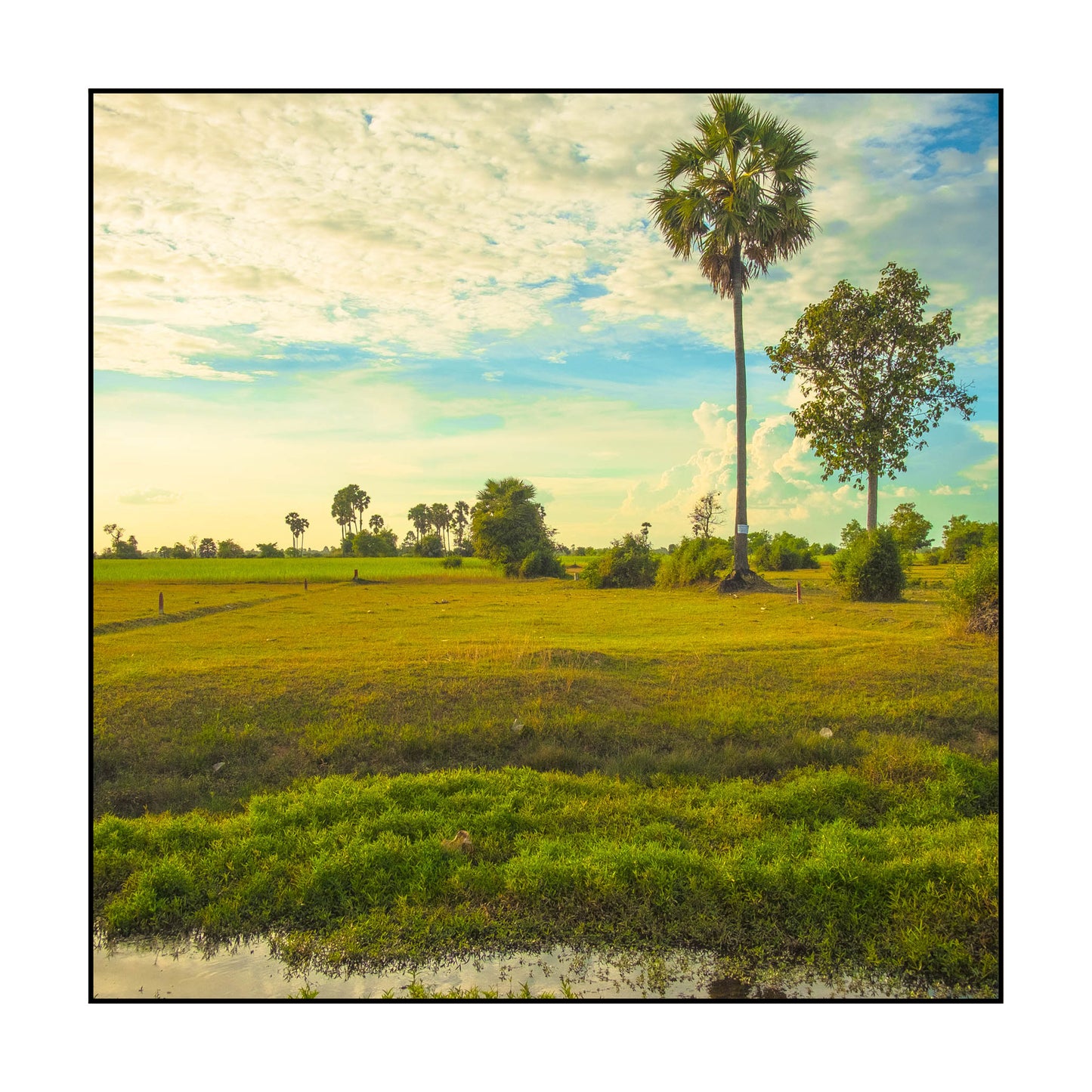 T-SHIRT CAMBODGE / INSIDE