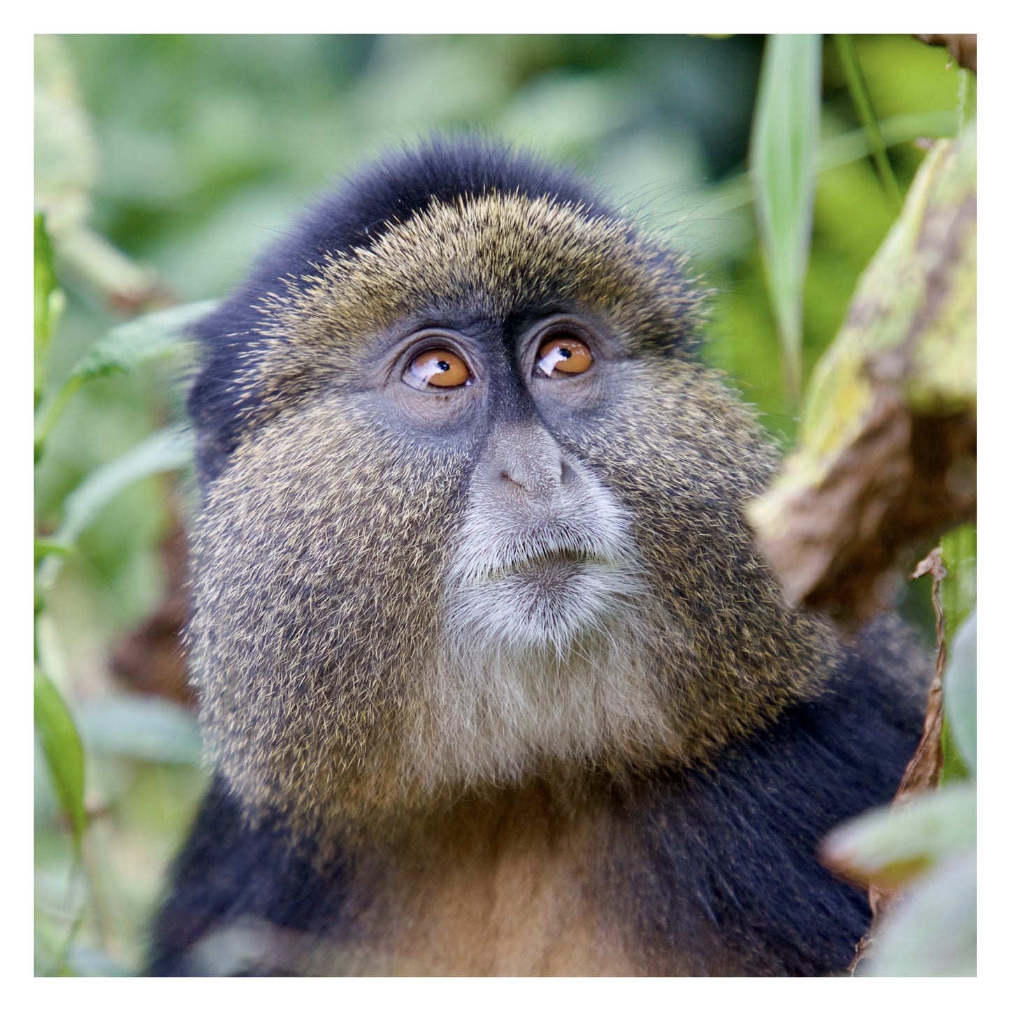 Rwanda - Original peint à la main sur céramique
