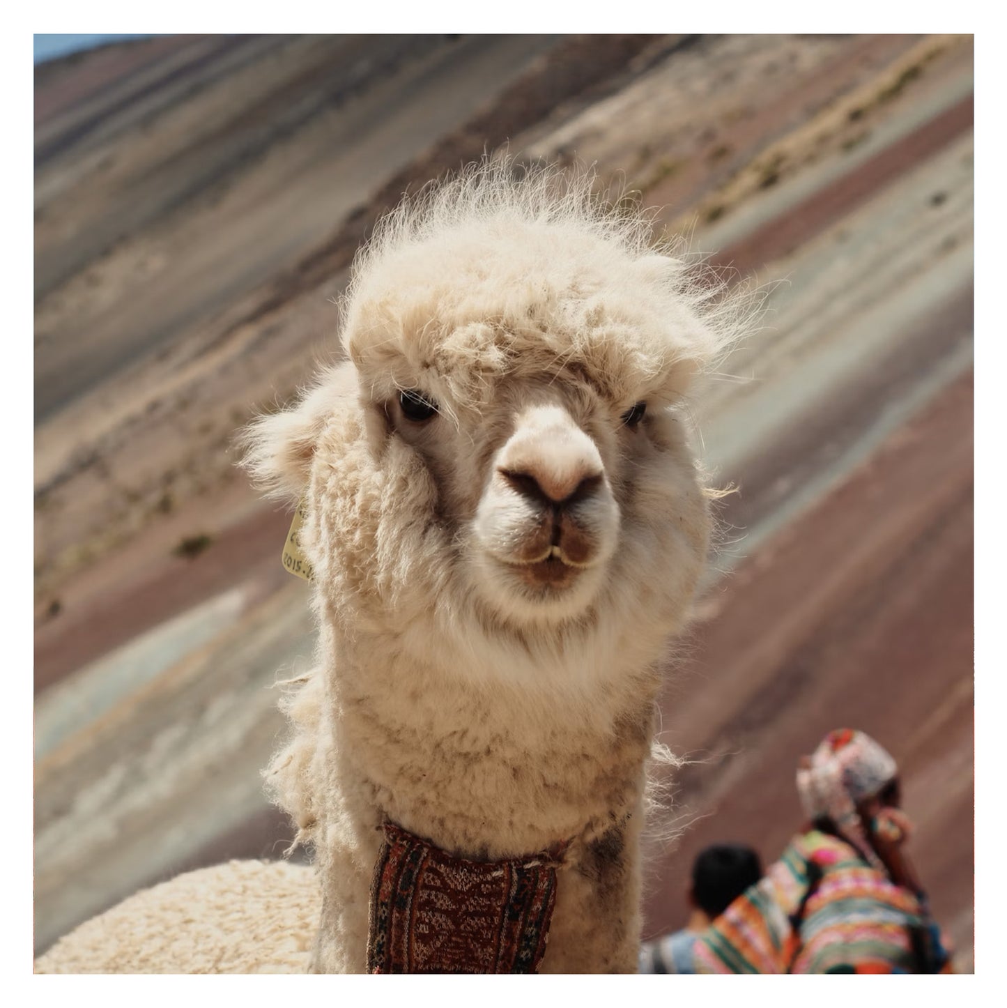 Pérou - Original peint à la main sur céramique