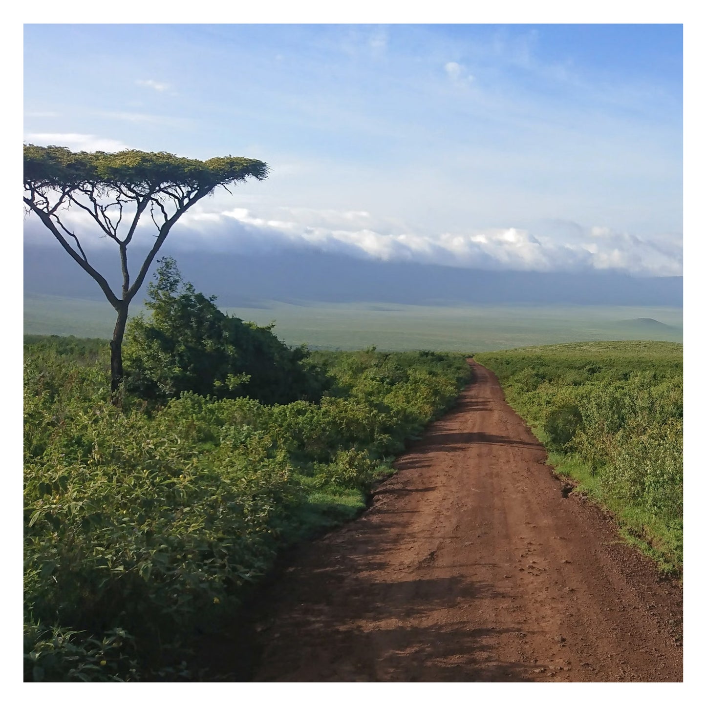 Tanzanie - Original peint à la main sur céramique